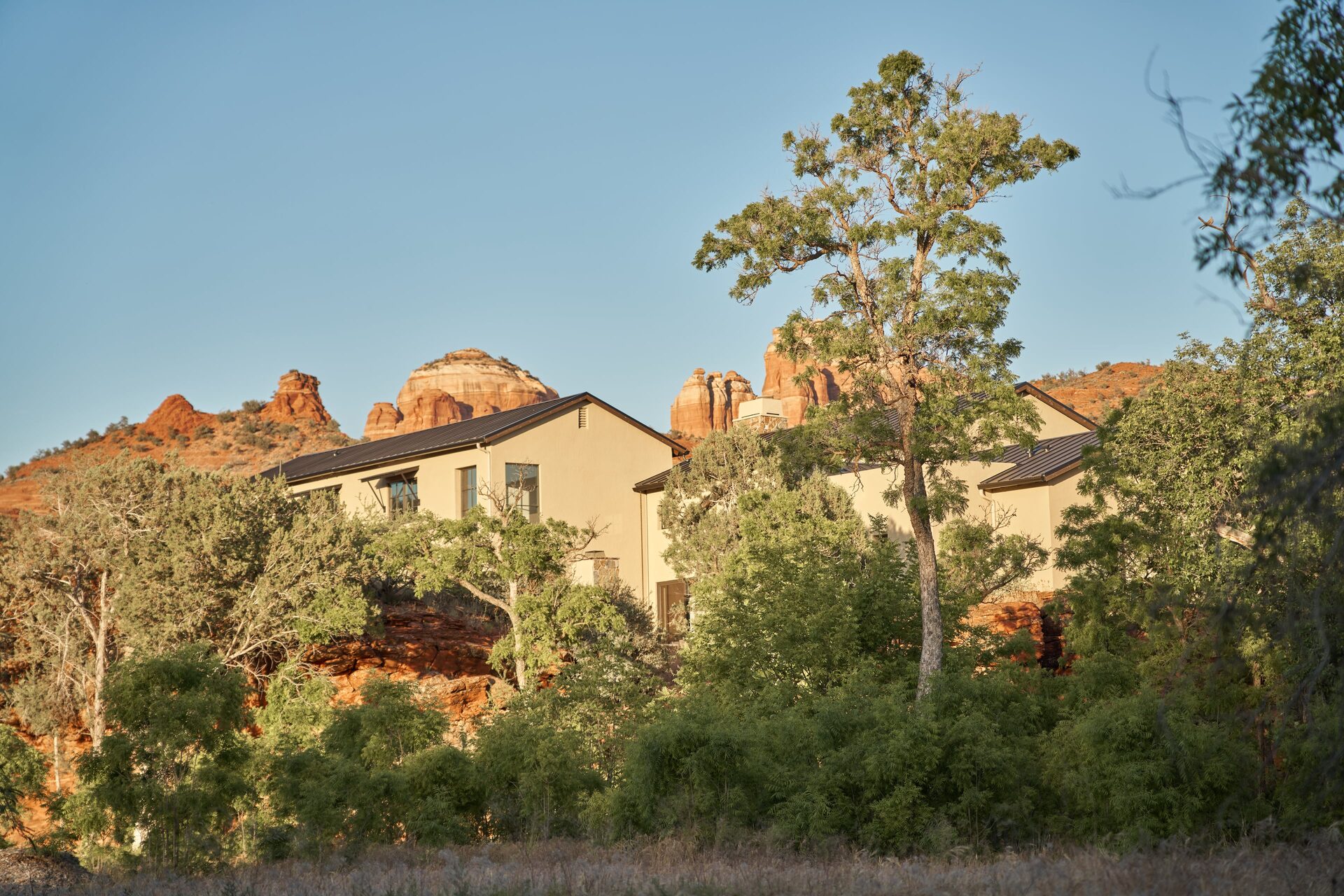 The house viewed from the creek corridor
