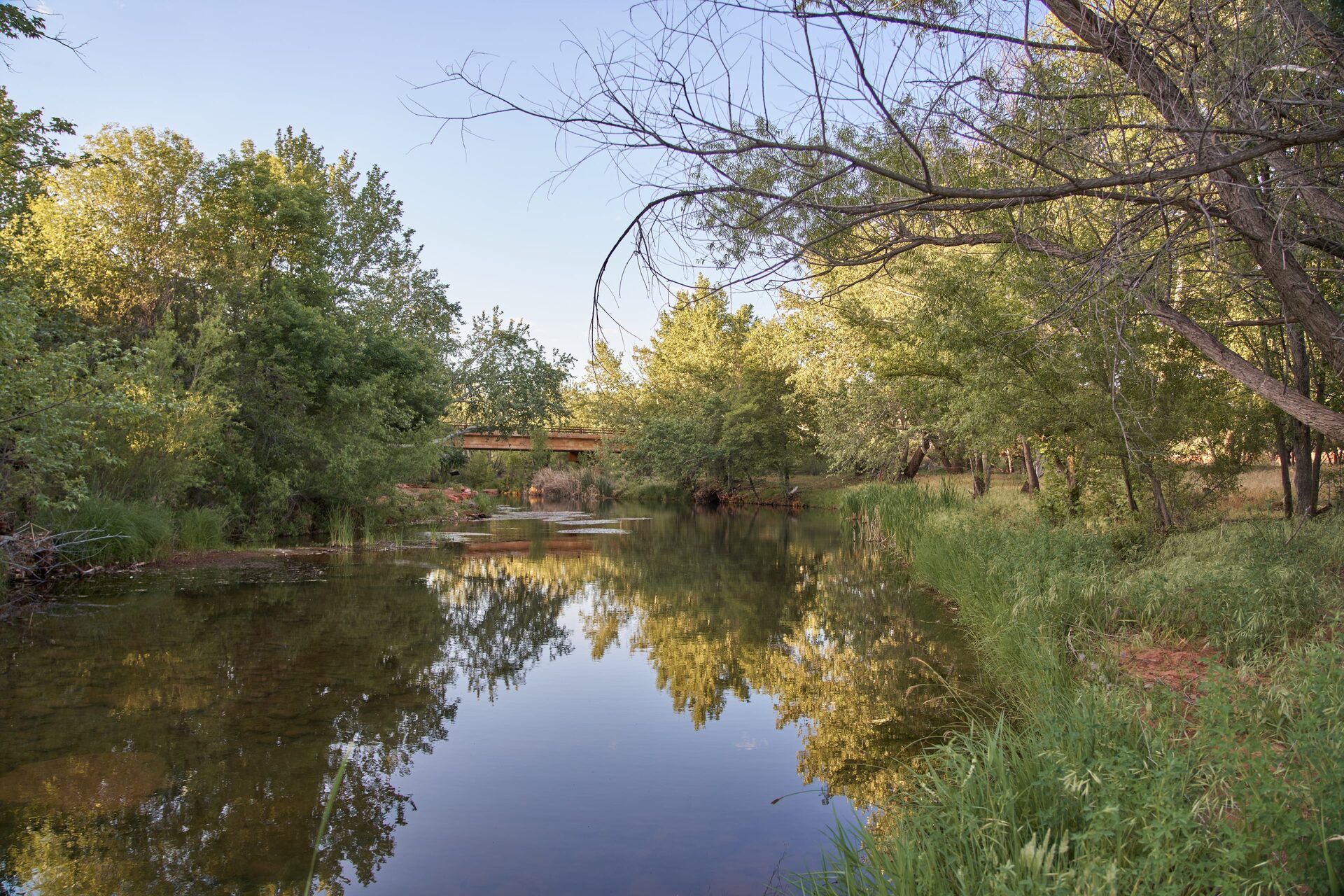 Still water on the property
